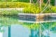 Natural Harmony: The Garden Pond Swimming Pool Design