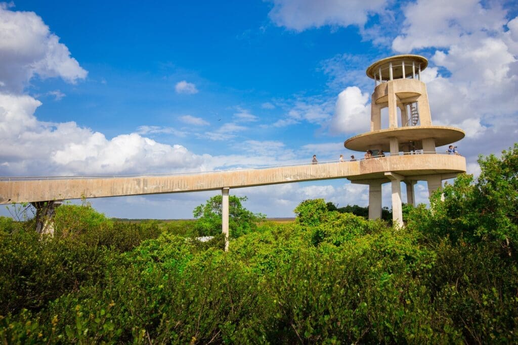 Observation Tower at Shark Valley, Everglades National Park.