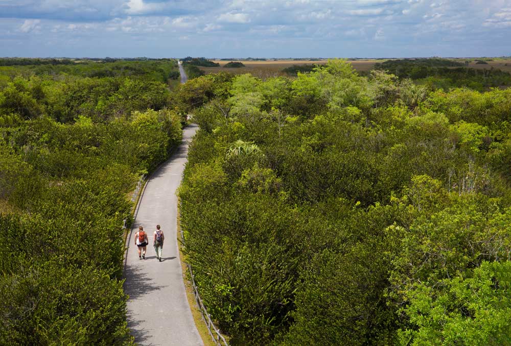 Two young women hike along a trail in the Everglades