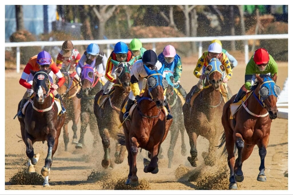 Horse racing