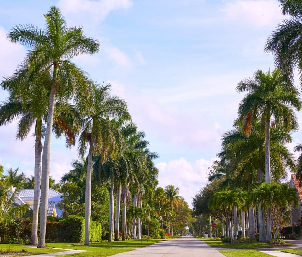 Palm tree-lined streets at Naples Beach