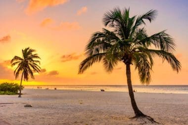 Palm trees silhouetted against the sunset sky on a Florida beach
