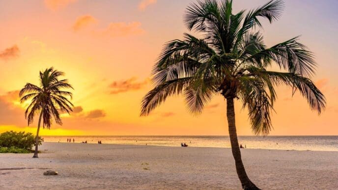 Palm trees silhouetted against a vibrant orange and yellow sunset sky on a sandy Florida beach.
