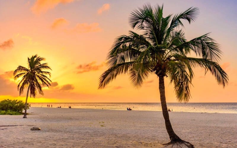 Palm trees silhouetted against a vibrant orange and yellow sunset sky on a sandy Florida beach.