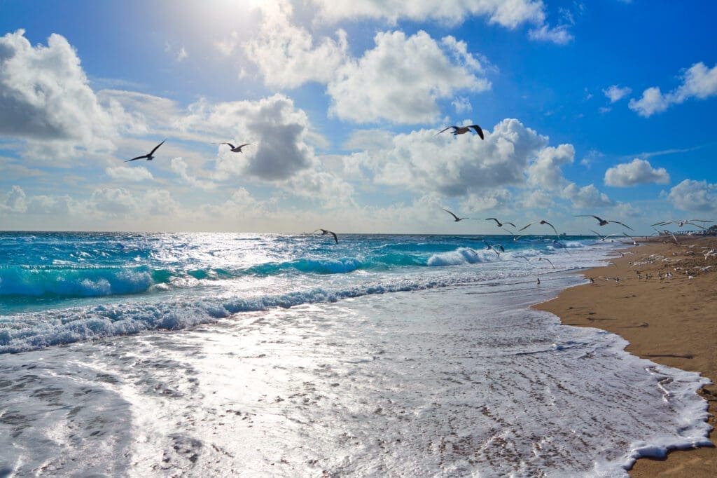 Singer Island beach at Palm Beach Florida