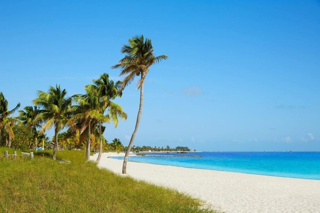 Smathers Beach in Key West, showing palm trees on a grassy area, a white sandy beach, and a clear blue ocean under a clear blue sky.