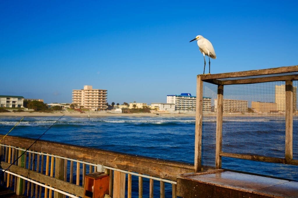 View of Daytona Beach from the pier