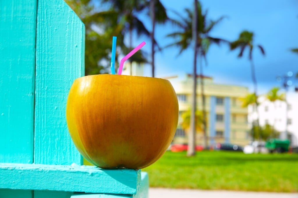 A coconut framed by the palm trees of Lummus Park and the iconic Art Deco buildings along Ocean Drive in the background