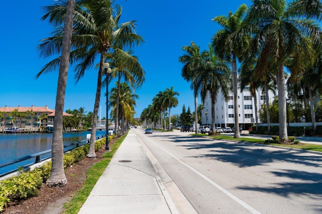 A view of the palm-lined avenue along the canal in Miami Beach