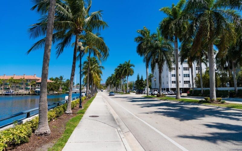 A view of the palm-lined avenue along the canal in Miami Beach