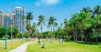 A vibrant city park in Coconut Grove, Miami, with green lawns, numerous palm trees, walking paths, and distant high-rise buildings under a clear blue sky.