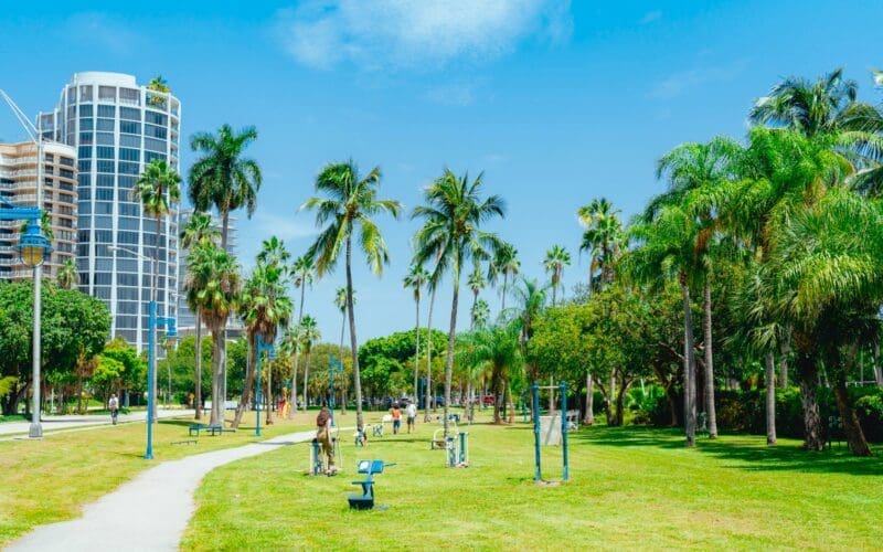 A vibrant city park in Coconut Grove, Miami, with green lawns, numerous palm trees, walking paths, and distant high-rise buildings under a clear blue sky.