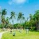 City park with trees and people in Coconut Grove