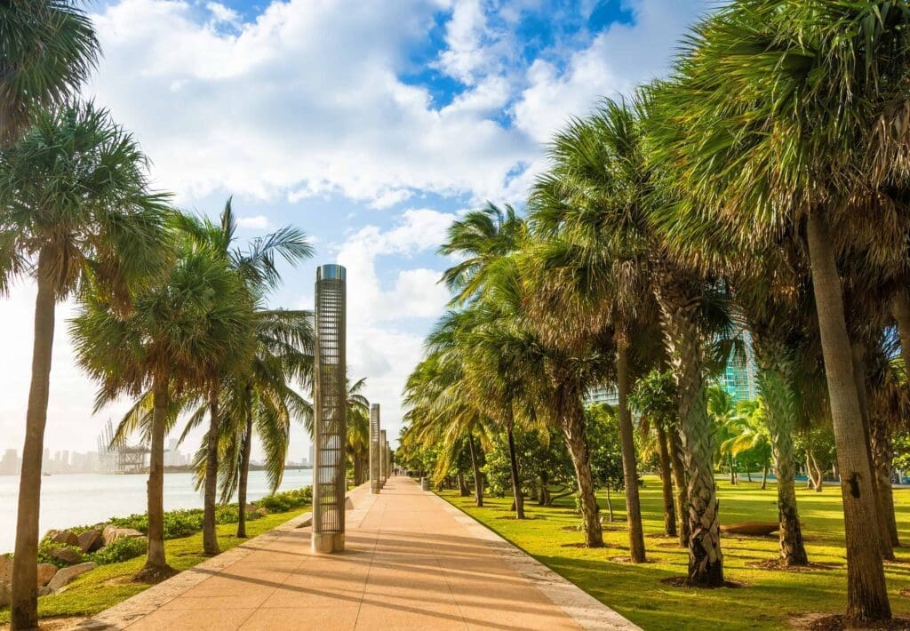 A wide paved promenade lined with numerous tall palm trees and modern light pillars, with water on the left and a distant city skyline, at South Pointe Park in Miami Beach.