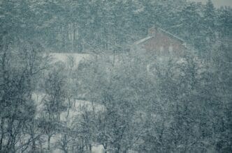 Aerial view of snow-covered trees in the forest during a snowstorm