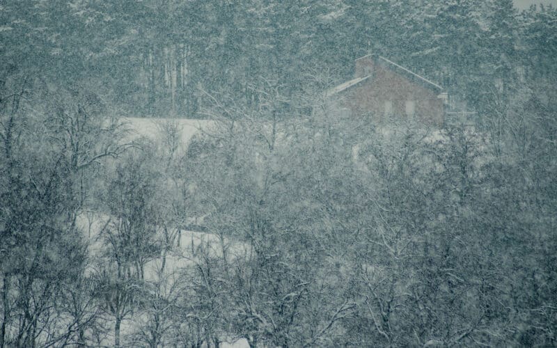 Aerial view of snow-covered trees in the forest during a snowstorm