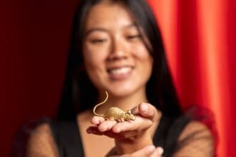 Close-up of a Rat figurine for the Chinese New Year