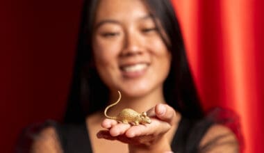 Close-up of a Rat figurine for the Chinese New Year