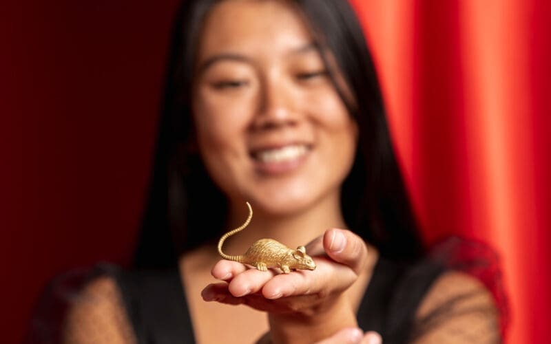 Close-up of a Rat figurine for the Chinese New Year