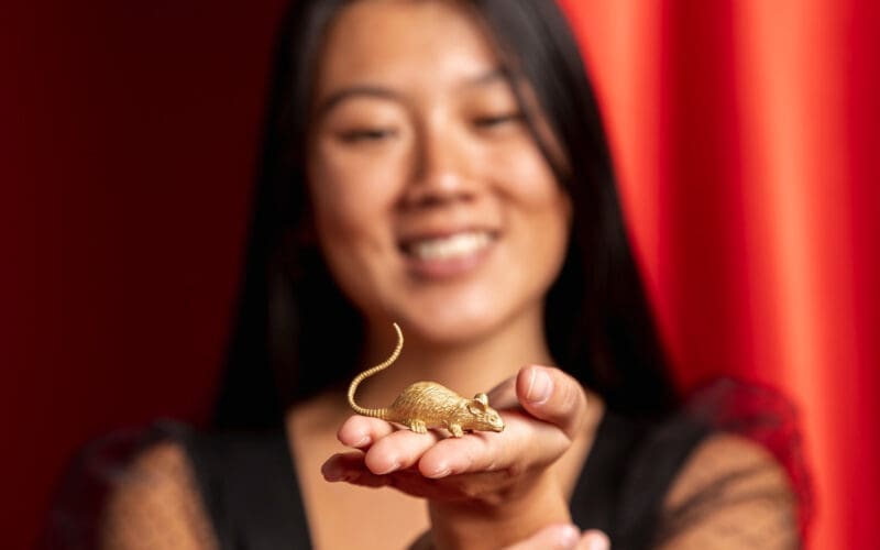 Close-up of a Rat figurine for the Chinese New Year