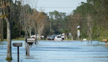 Flooding in residential streets in Florida