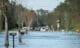 Flooding in residential streets in Florida