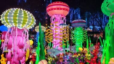 Miami's December Events and Activities