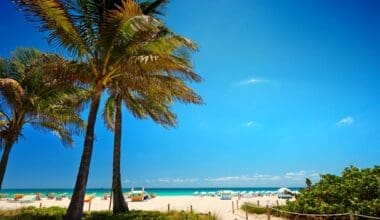 Path with coconut palm to the beach in Miami Beach