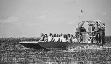 People navigating the swamps of the Seminole region in an airboat