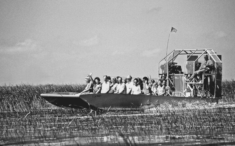 People navigating the swamps of the Seminole region in an airboat