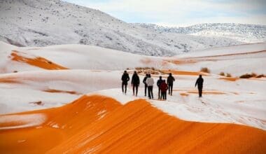 Sahara snow. Photo by CNN