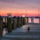 Sunset view of a boat dock with a duck