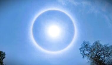 Sun Halo