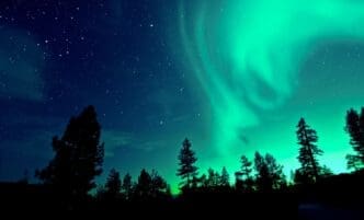 Aurora borealis lighting up the sky above the trees