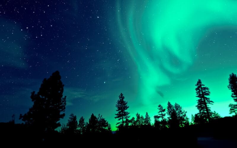 Aurora borealis lighting up the sky above the trees