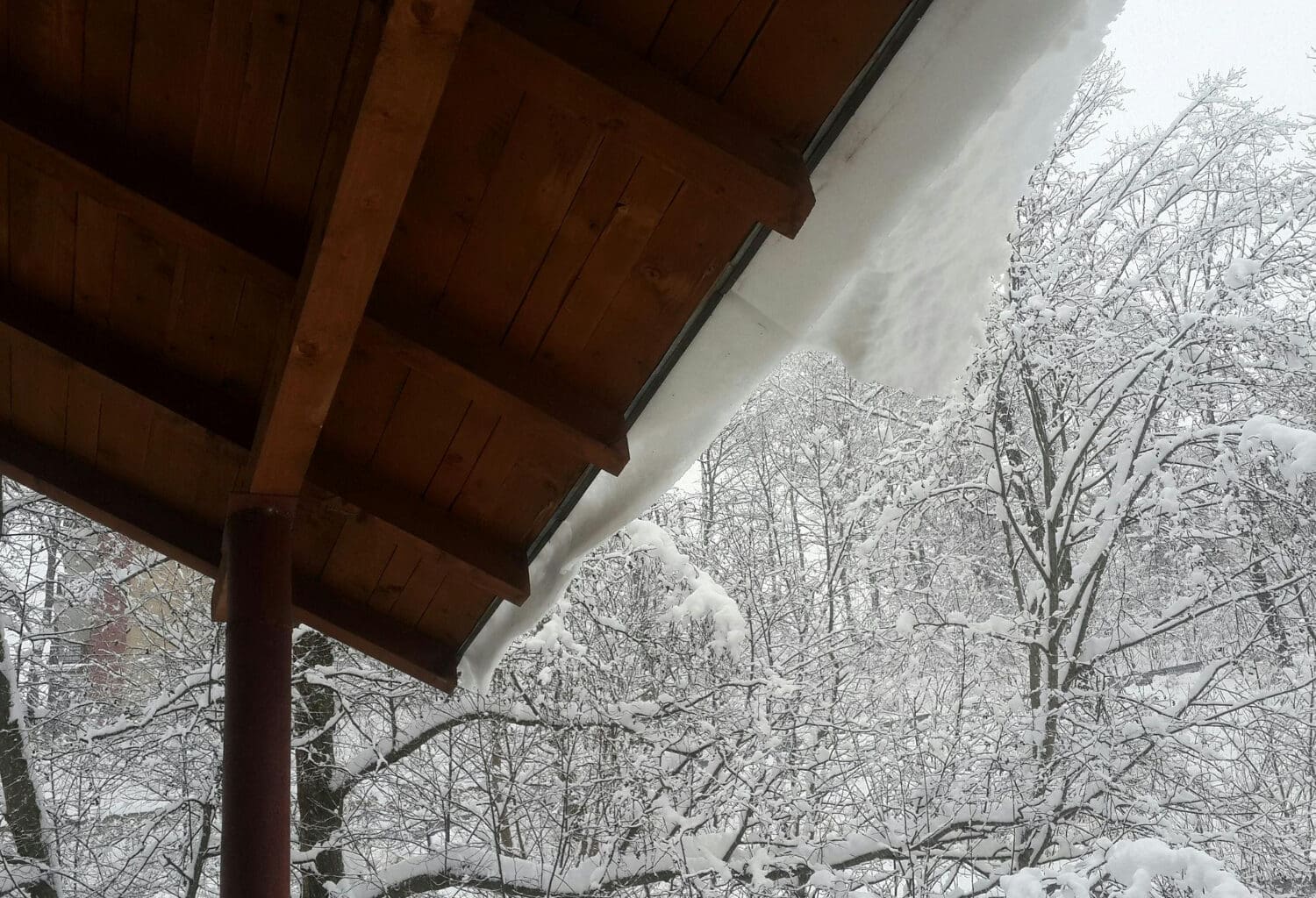 Low-angle view of the roof with snow-covered trees in the yard