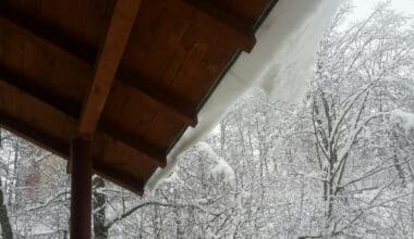 Low-angle view of the roof with snow-covered trees in the yard