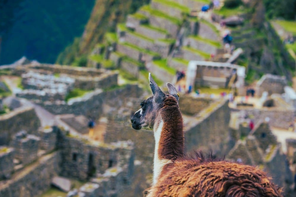 Machu Picchu, Peru