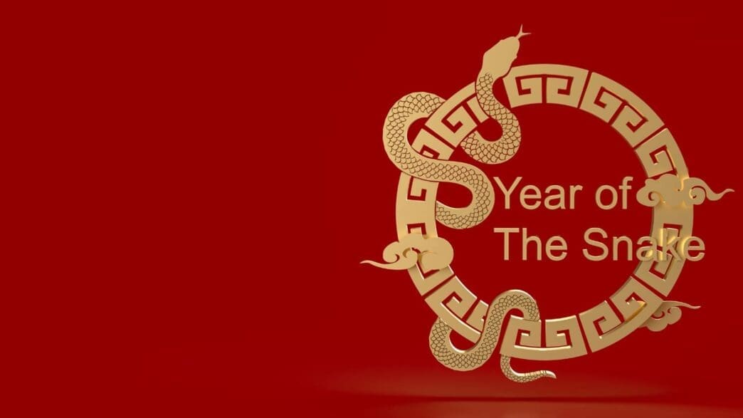 The year of snake 2025