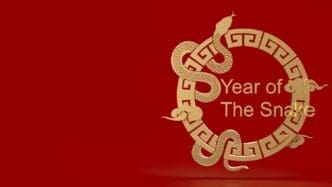 The year of snake 2025