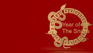 The year of snake 2025