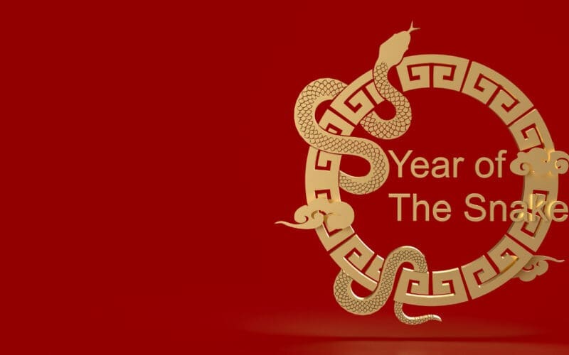 The year of snake 2025