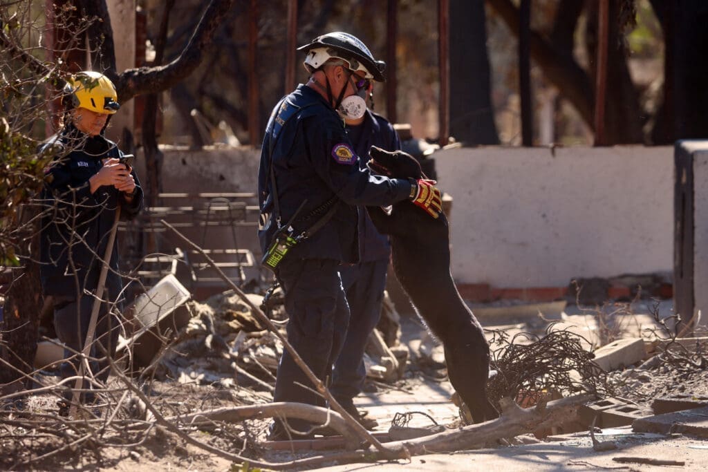 Wildfires in California