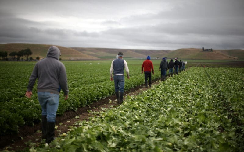 The Wider Image: Trump reassures farmers about temporary visas
