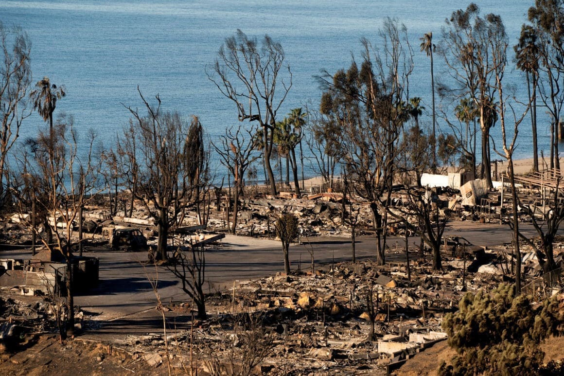 Wildfires in Los Angeles