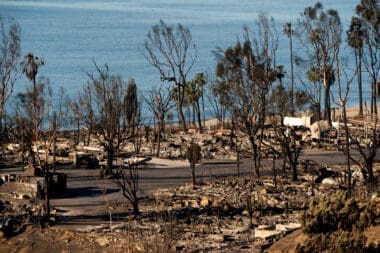 Wildfires in Los Angeles
