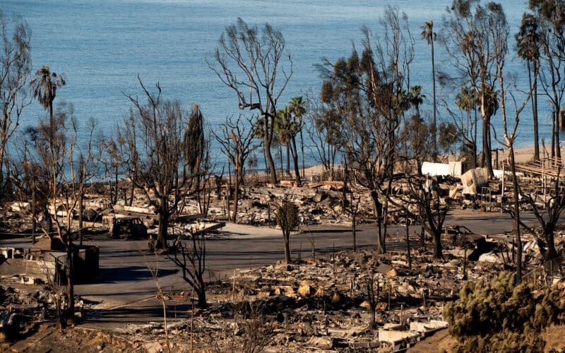 Wildfires in Los Angeles