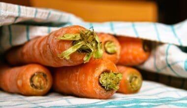 Close-up of carrots