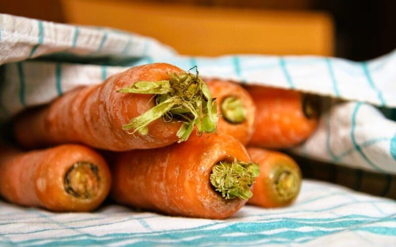 Close-up of carrots