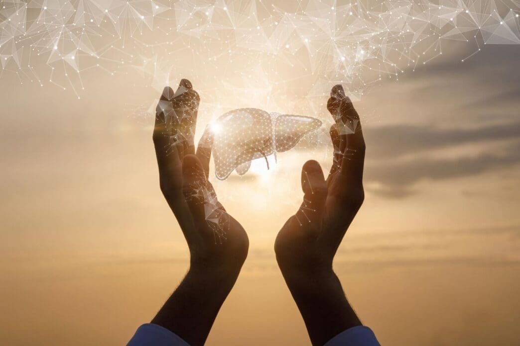 Hands hold a hologram of the liver, set against the backdrop of a vibrant sunset sky